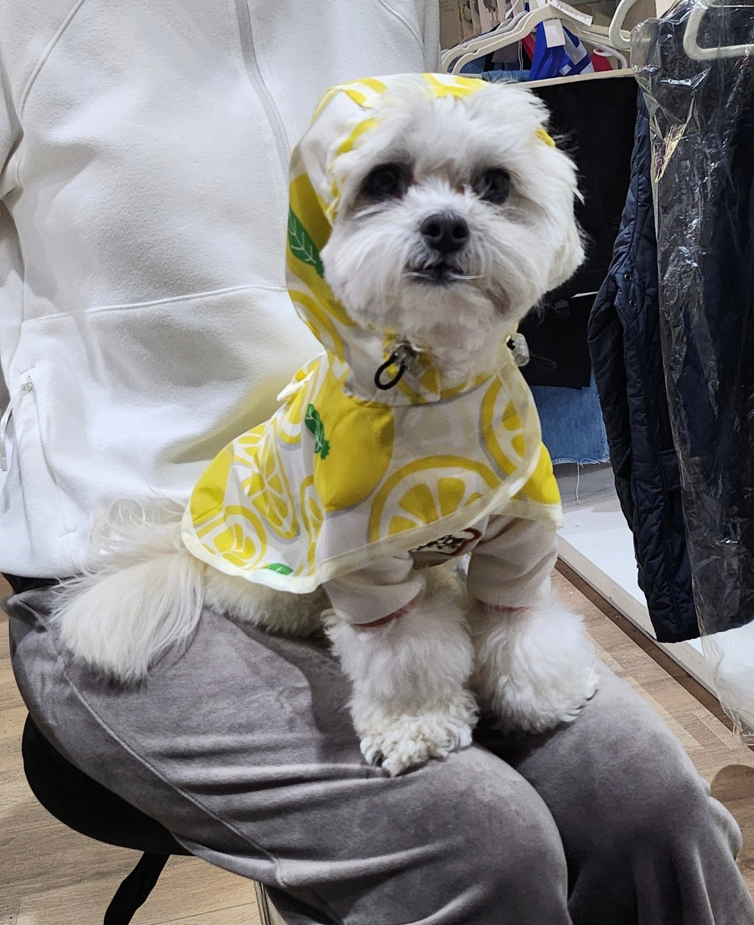 Custom-fit Poncho Raincoat