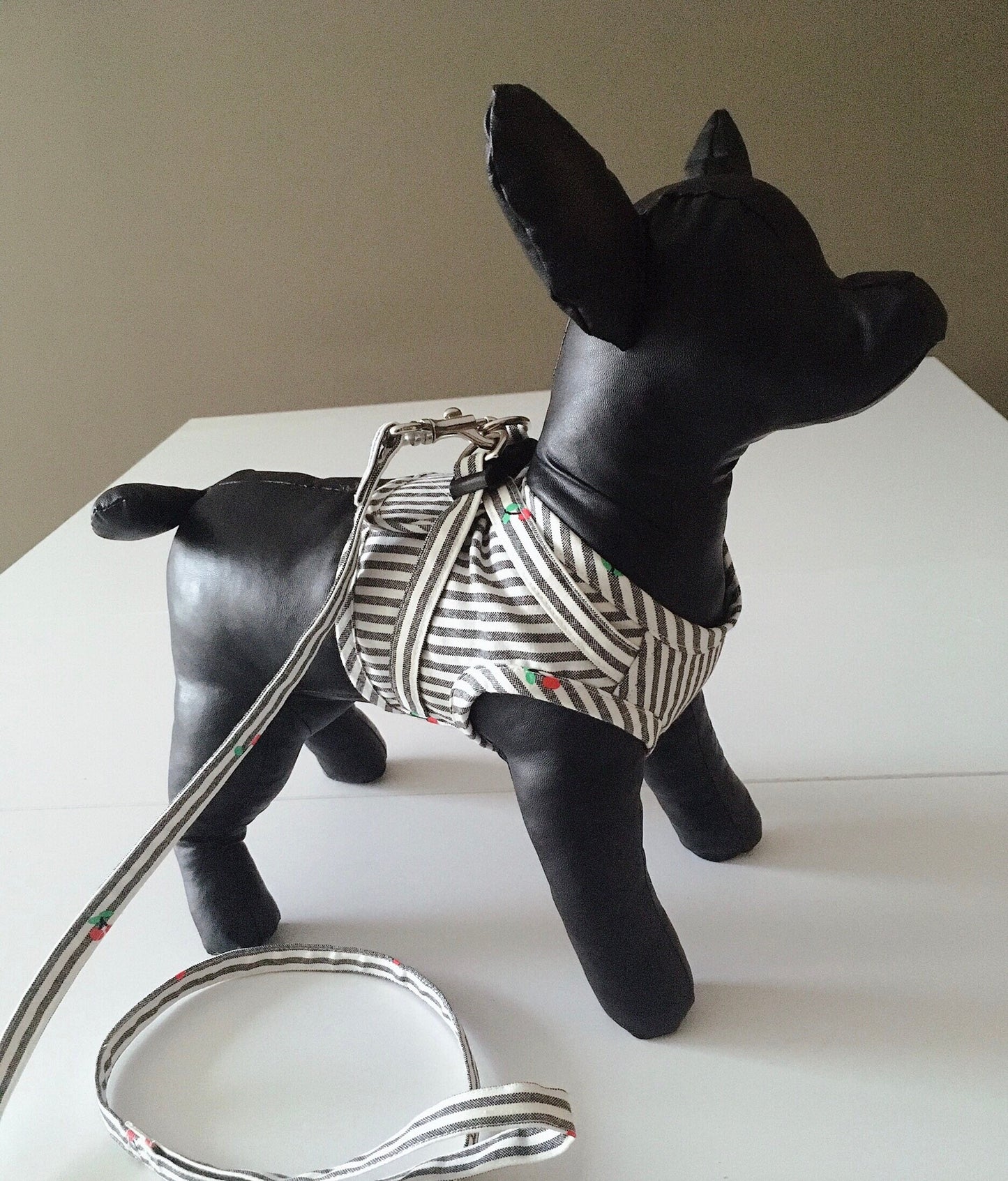 Custom-fit Harness and Leash Sets