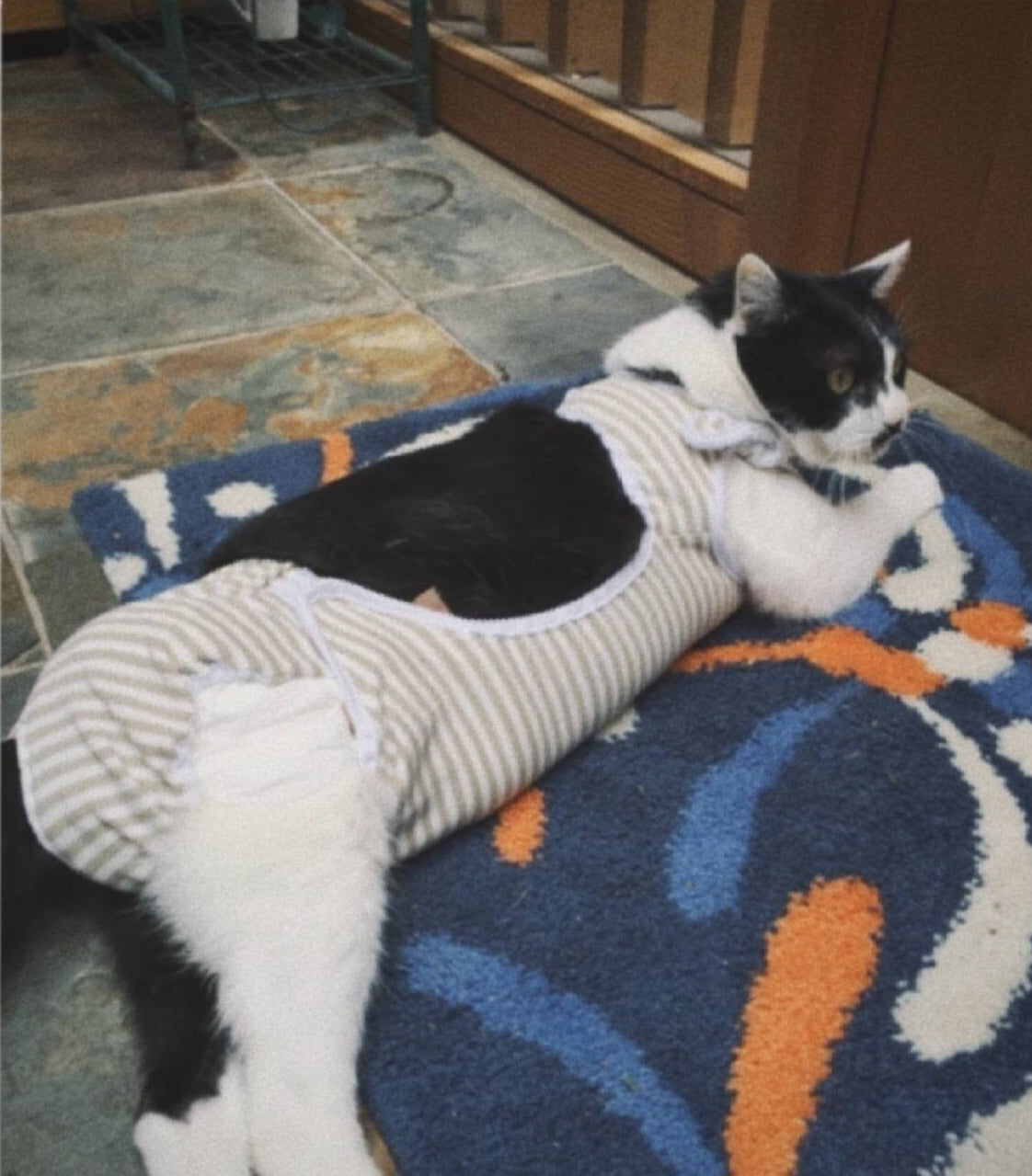 Custom-fit sanitary& senior care diaper cover-ups