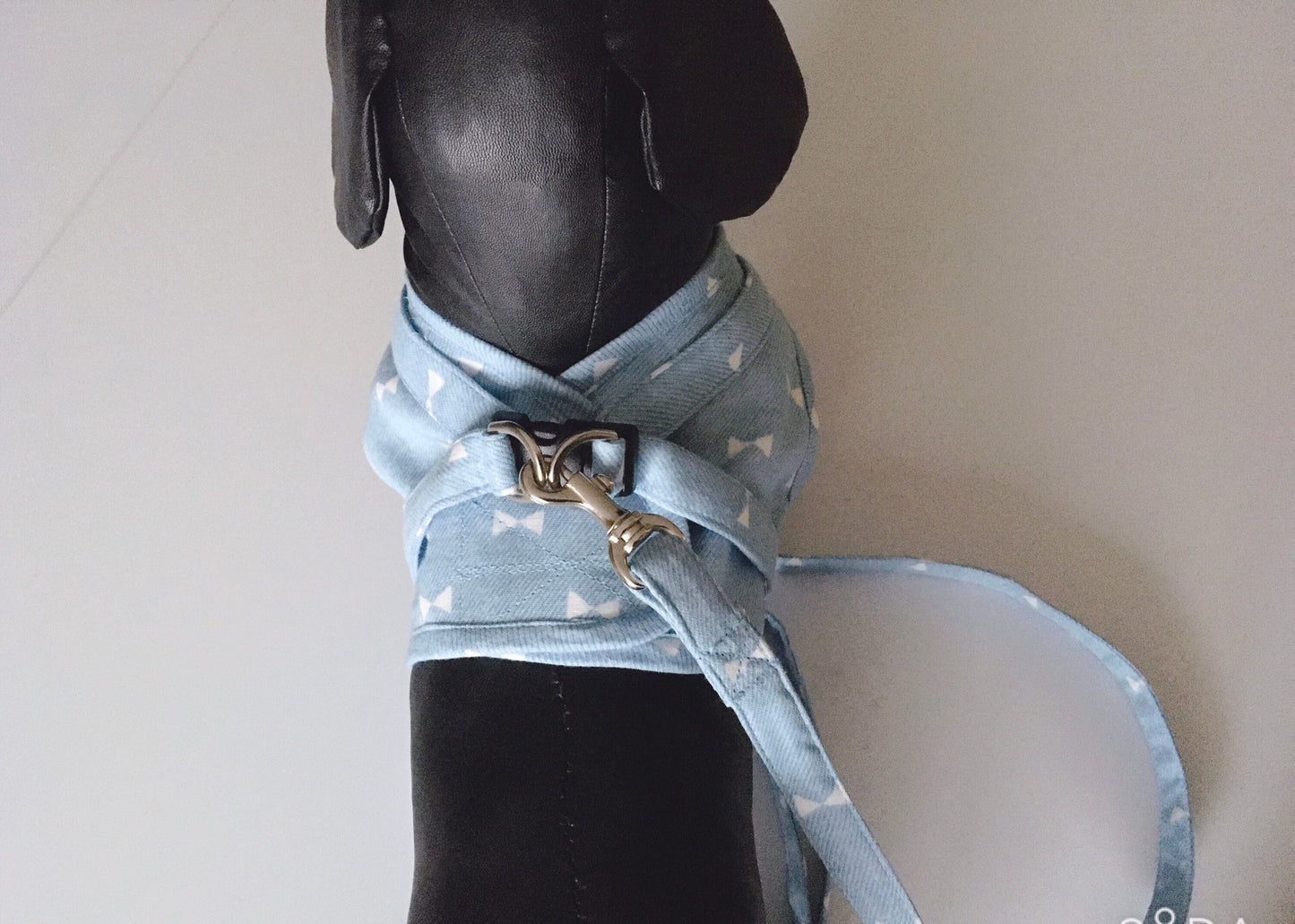 Custom-fit Harness and Leash Sets